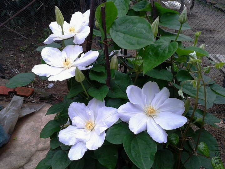 2014-04-27 17.00.38.jpg