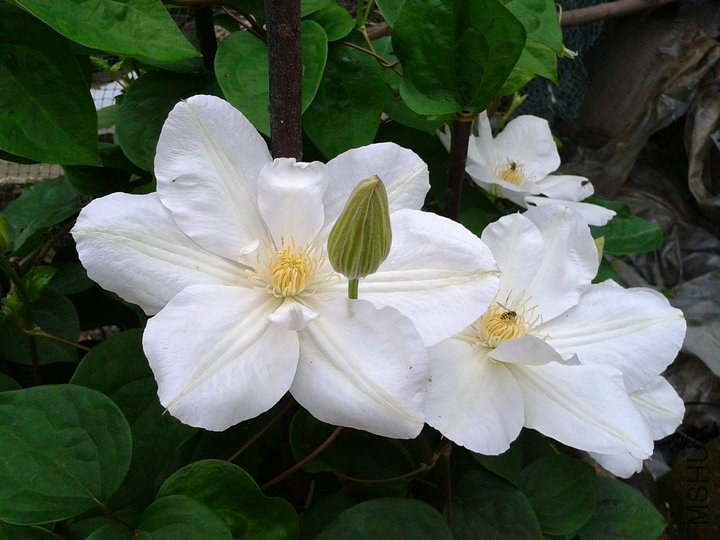 2014-04-27 17.01.38.jpg