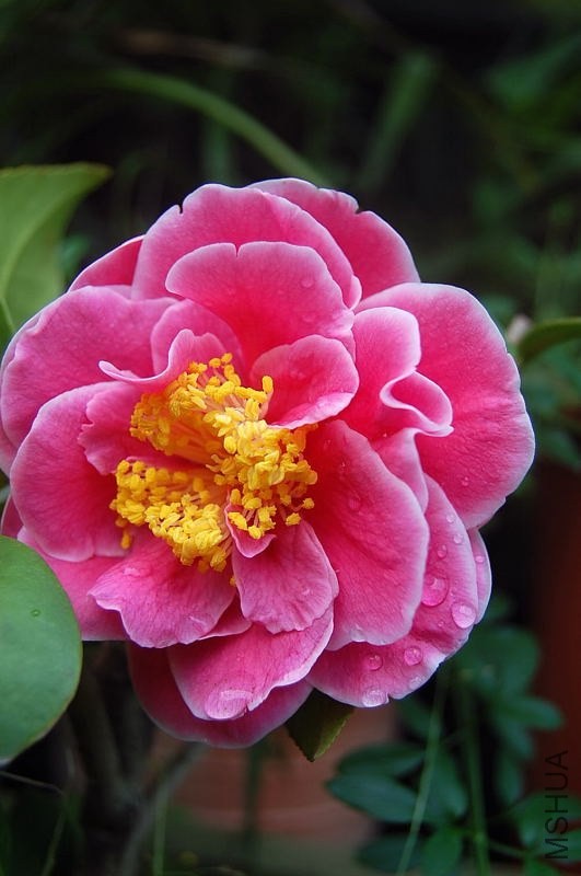 DSC_01640164.JPG