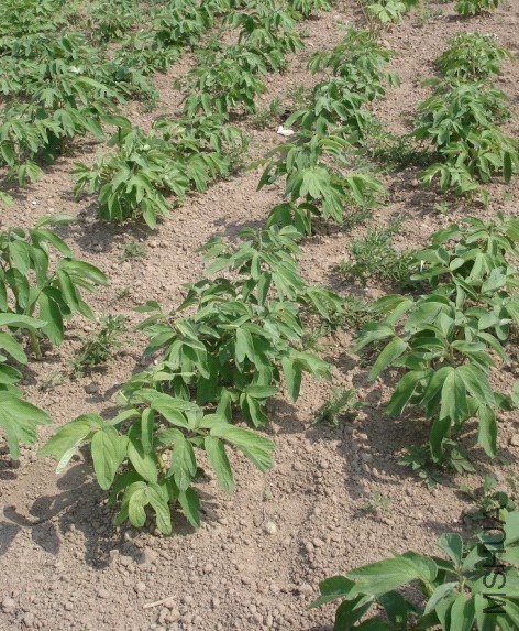 ����һ����