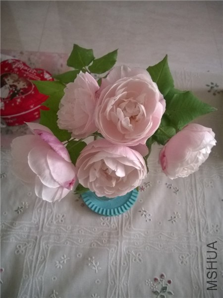MediaLib_Camera Roll_WP_20140427_010.jpg