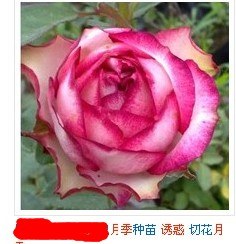 QQͼƬ20140427220533.jpg