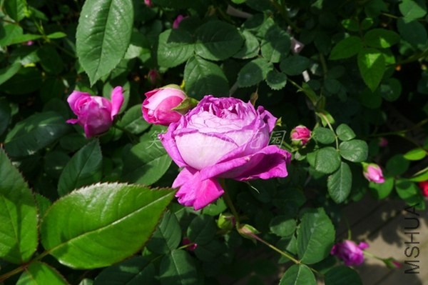 P1200444.JPG