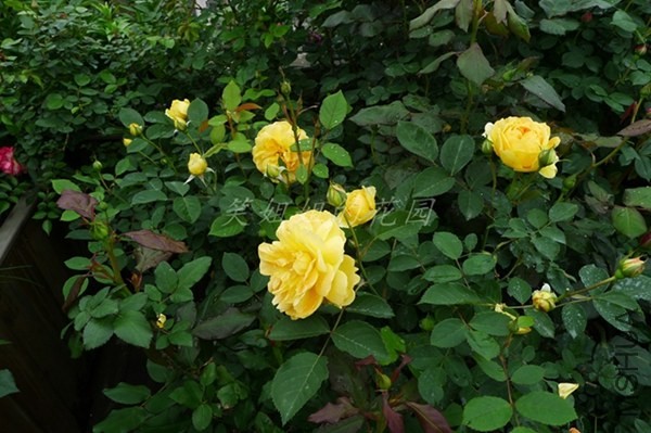 P1200526.JPG