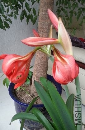 20140427_092844.jpg