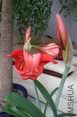 20140426_115835.jpg