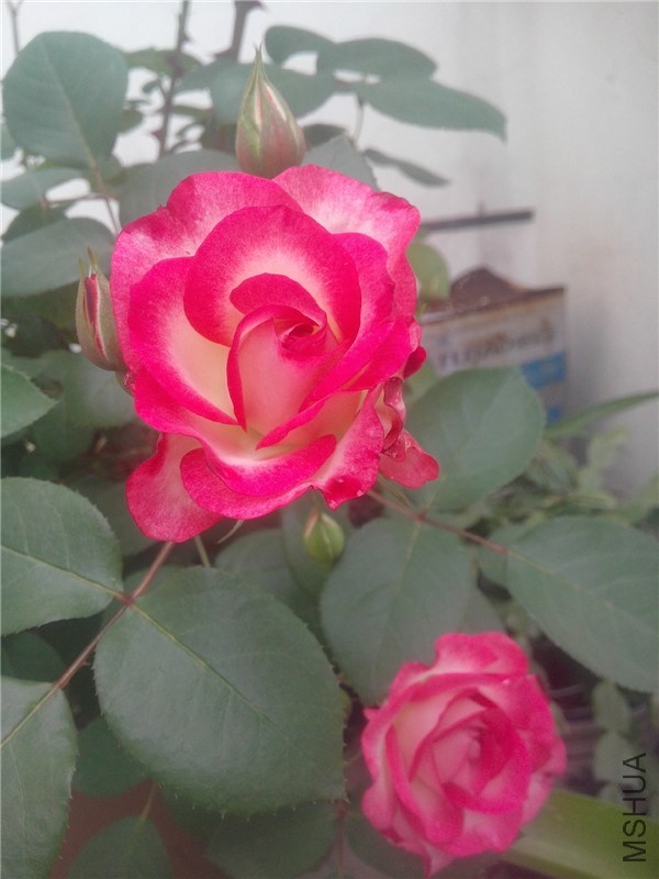 IMG20140426003.jpg