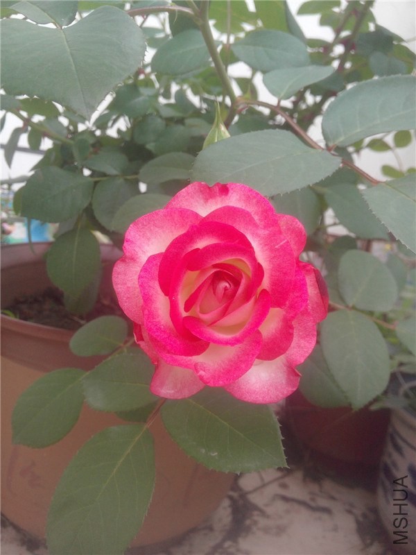 IMG20140426013.jpg