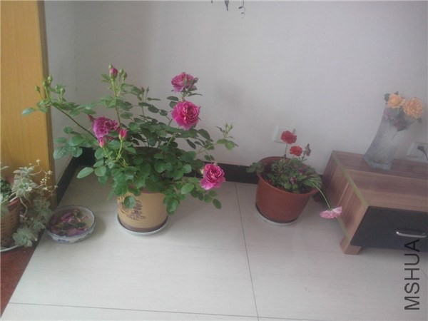 IMG20140426019.jpg
