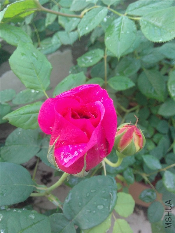 IMG20140422002.jpg