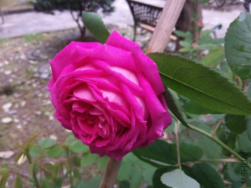 LIMG_20140427_180059.jpg