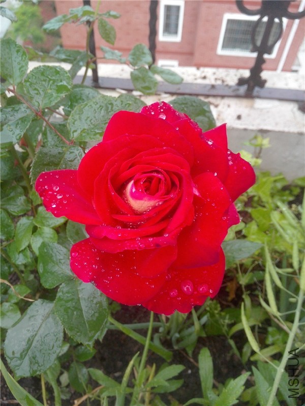 IMG20140425008.jpg
