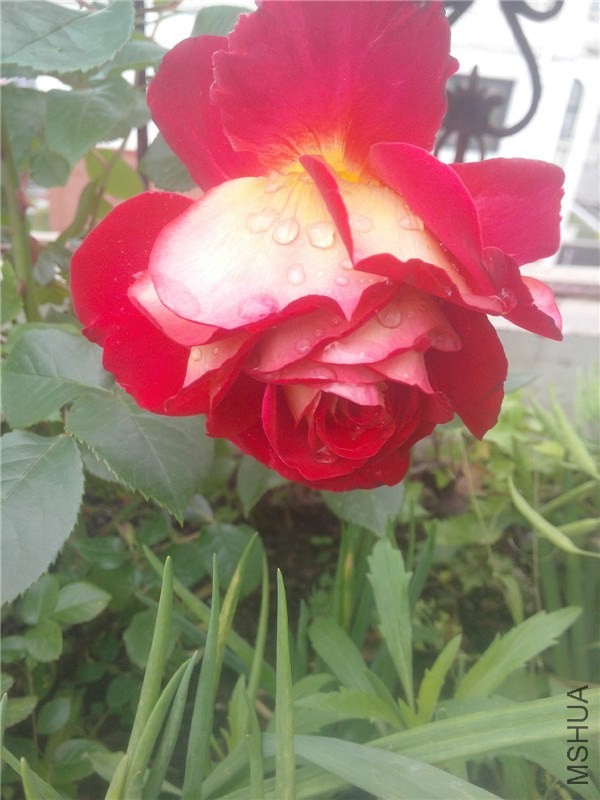 IMG20140426010.jpg