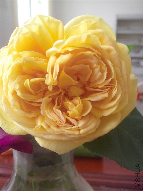 IMG20140426002.jpg