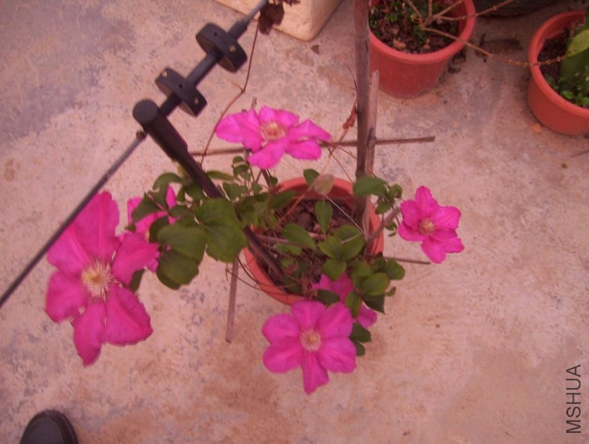 100_1044.JPG