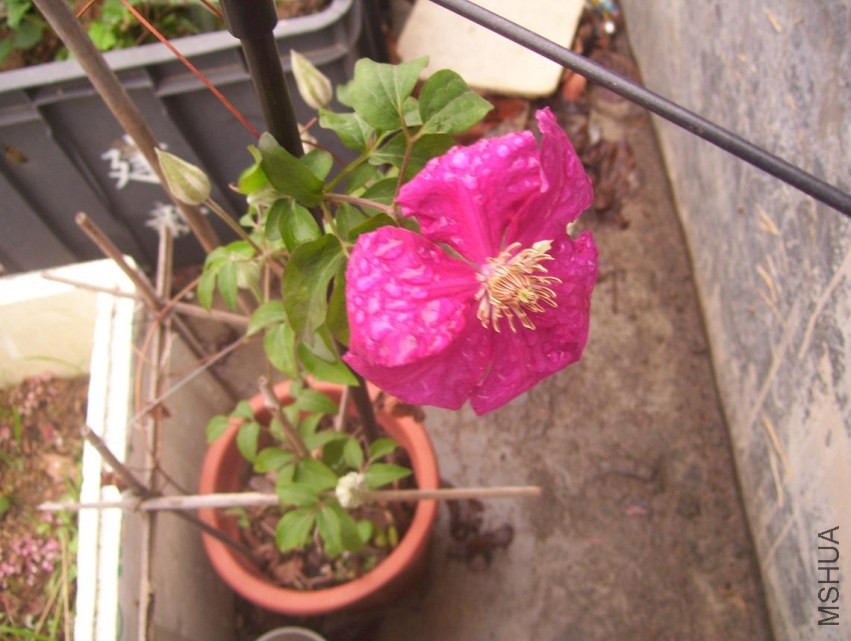 100_1025.JPG