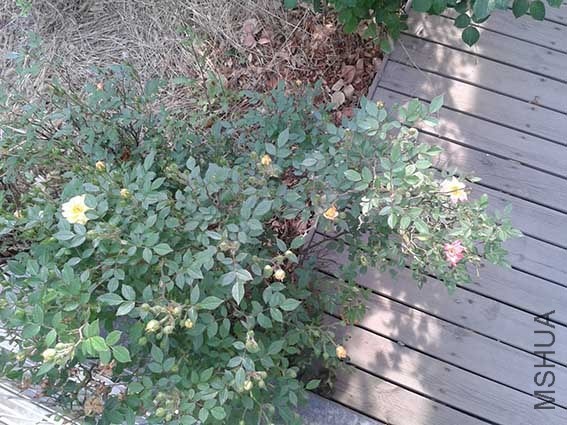 20140427_153716.jpg