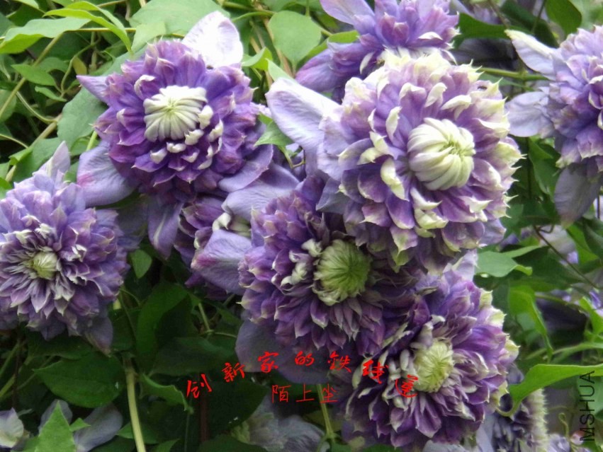 09.jpg