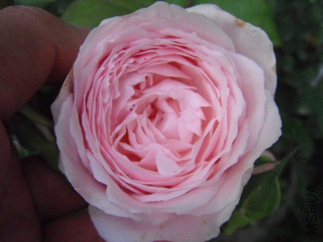 ���D14.4����1.jpg