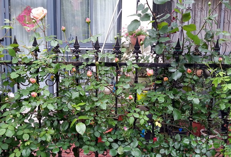 �ǲ�����20140428B.jpg