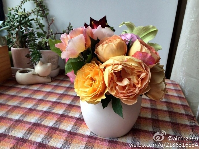 82508c22jw1efu9426jovj218g0xc4c8.jpg