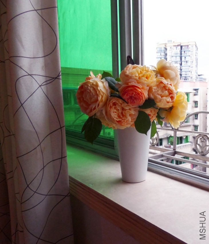 SAM_0219����.jpg