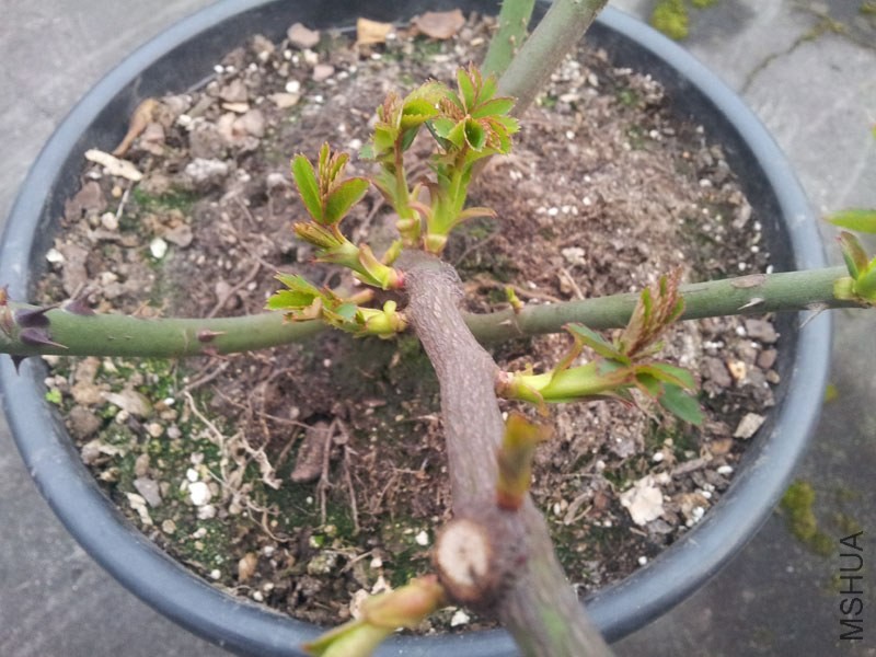20140225_182346.jpg