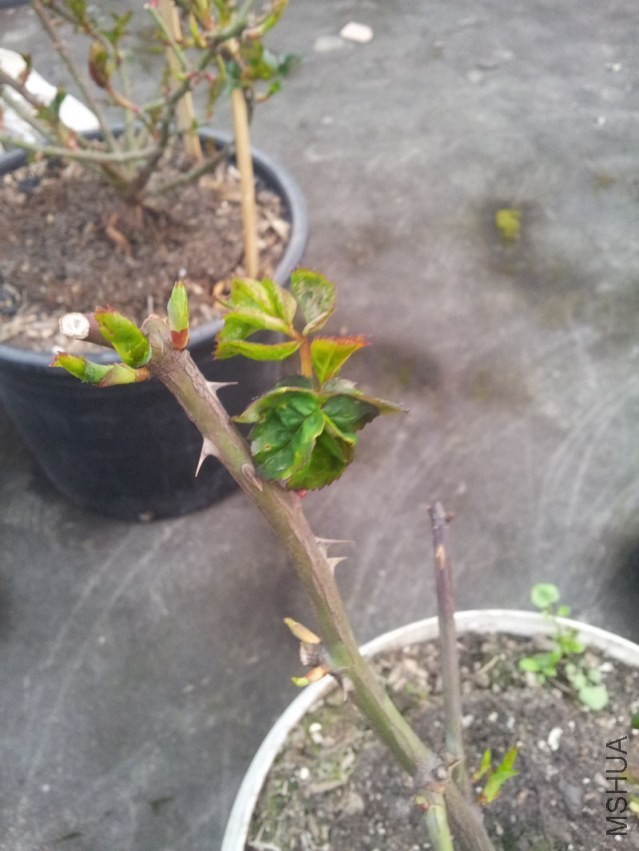 20140225_182541.jpg