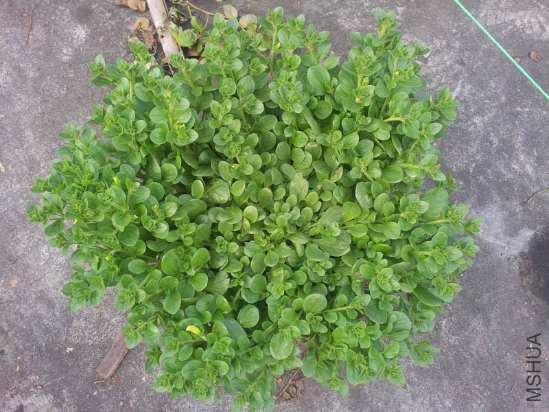 20140409_182920.jpg
