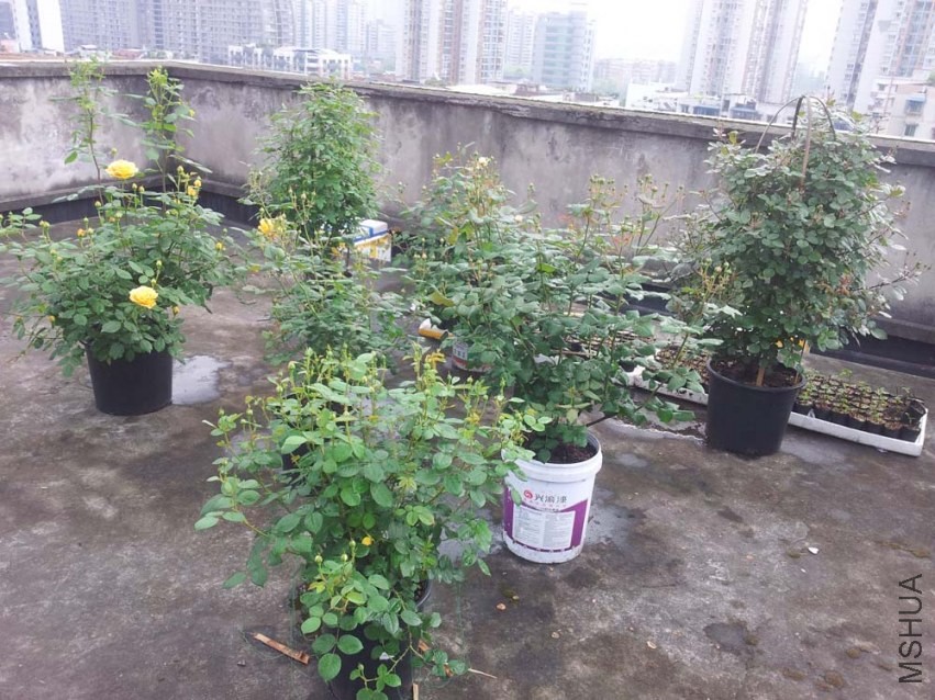 20140413_095324.jpg