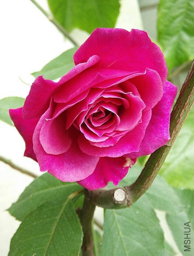 QQͼƬ20140428164730.jpg
