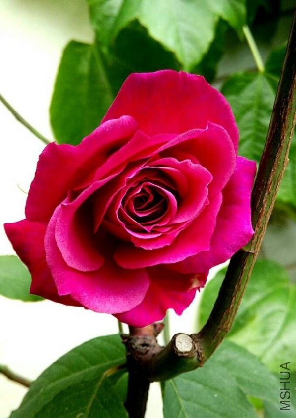 QQͼƬ20140428164855.jpg