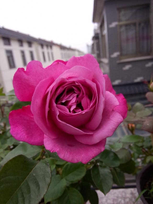 IMG20140428075004.jpg