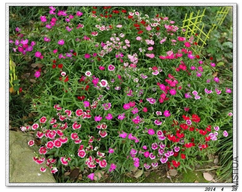 2014042804.jpg