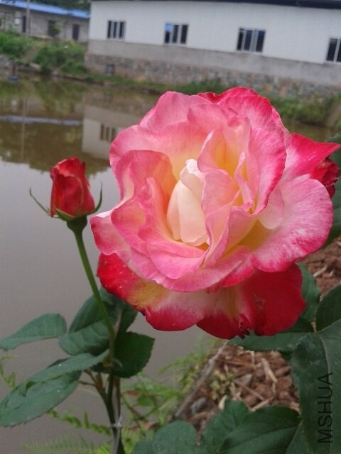 20140428_093214_resized.jpg