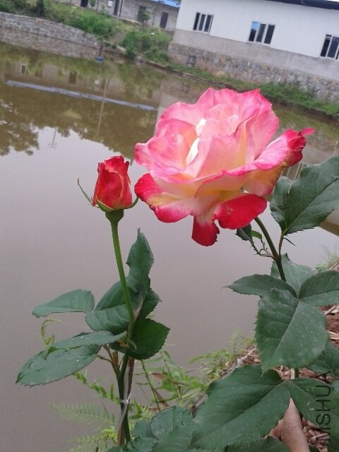 20140428_093222_resized.jpg