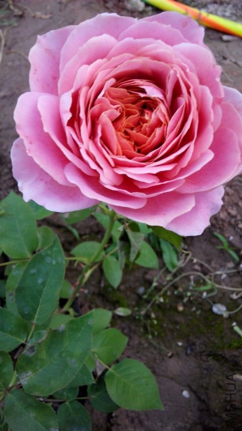 QQͼƬ20140428202735.jpg
