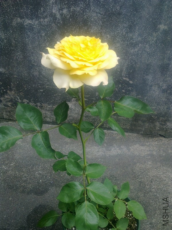 ����2