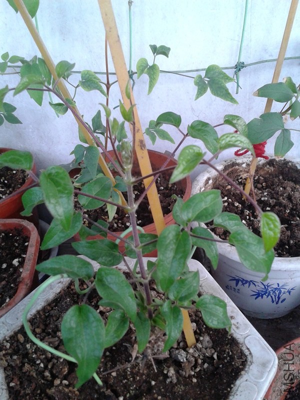 2014-04-11 07.03.28_����.jpg