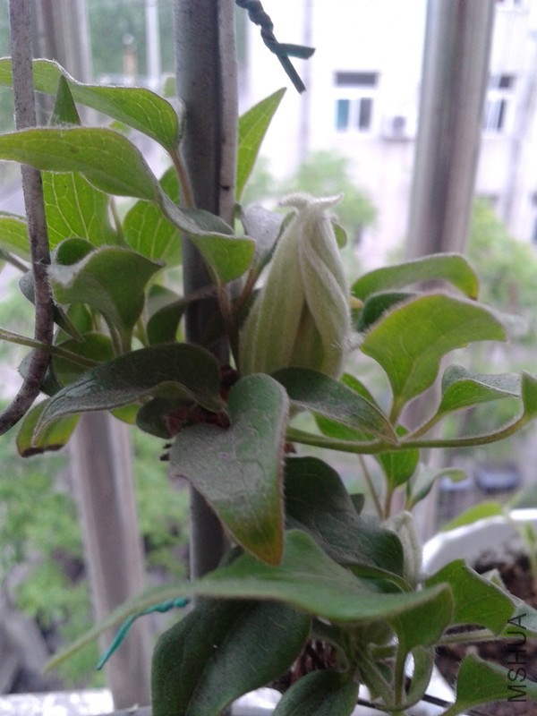 2014-04-25 15.43.31_����.jpg