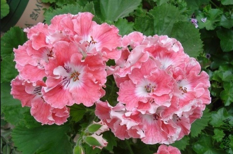 ��-��ͨ��01.jpg