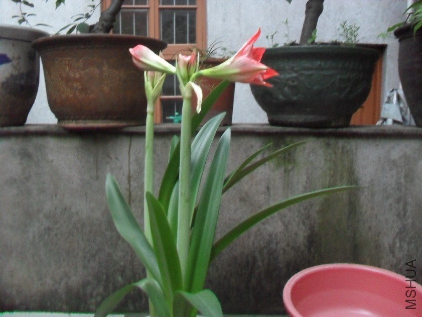2014-04-28_223239.jpg