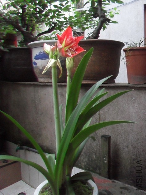2014-04-28_223307.jpg