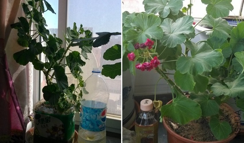 QQͼƬ20140429061857.jpg