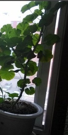 QQͼƬ20140429075720.jpg
