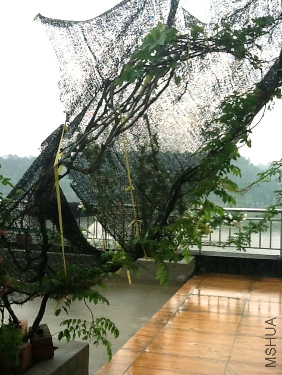 ����������������