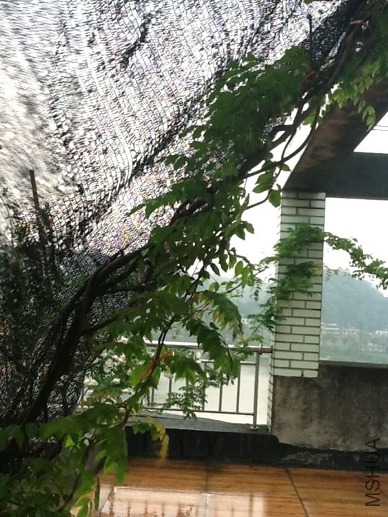 ������������������