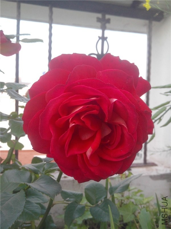 IMG20140429006.jpg