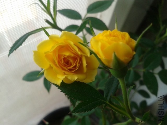 20140423_102938.jpg