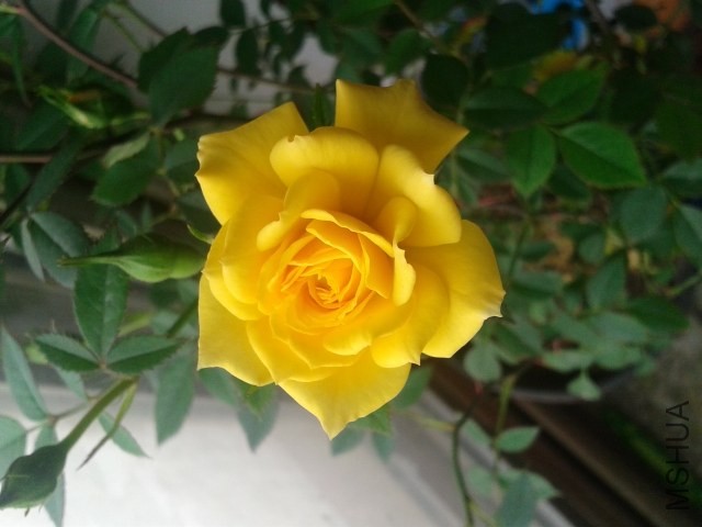 20140415_092116.jpg
